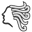../../_images/VPhair.png